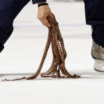 Detroit Red Wings v Florida Panthers