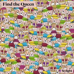 1-Find-The-Queen-Puzzle-Infographic