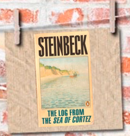Sea of Cortez Steinbeck