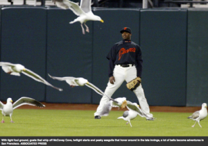 Seagulls invade AT&T Ballpark